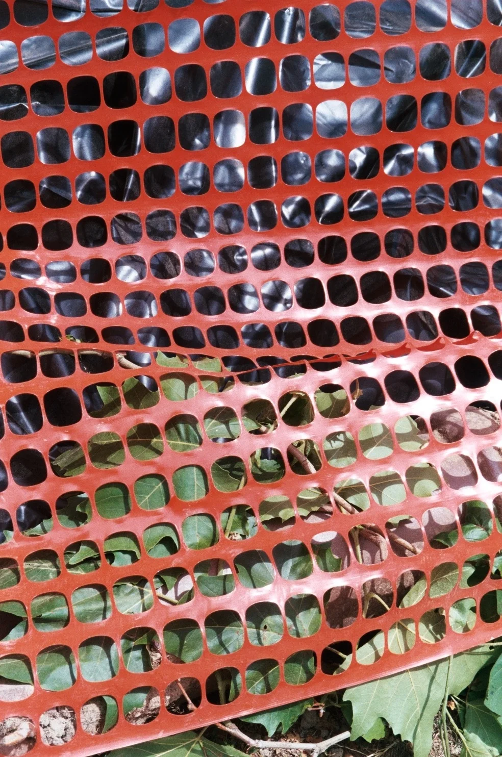 fencejul1214.JPG