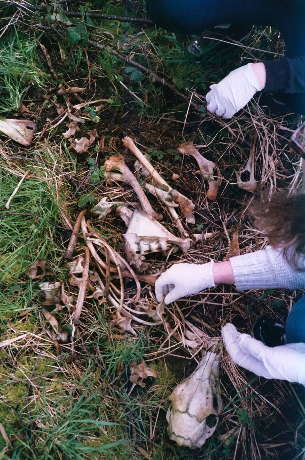 bonehands.JPG
