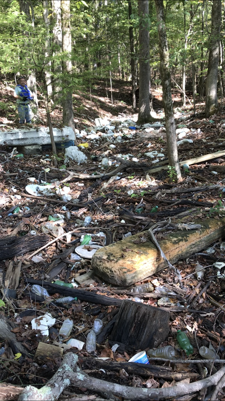 Pickwick Litter before.PNG