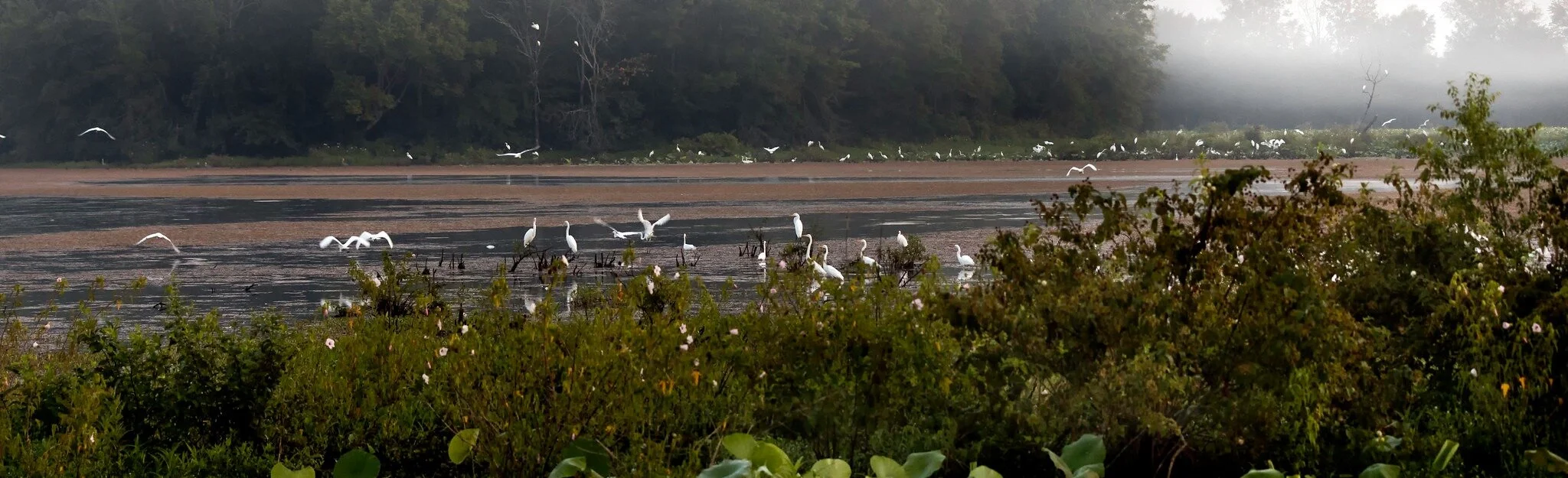 Wheeler Wildlife Refuge.jpg