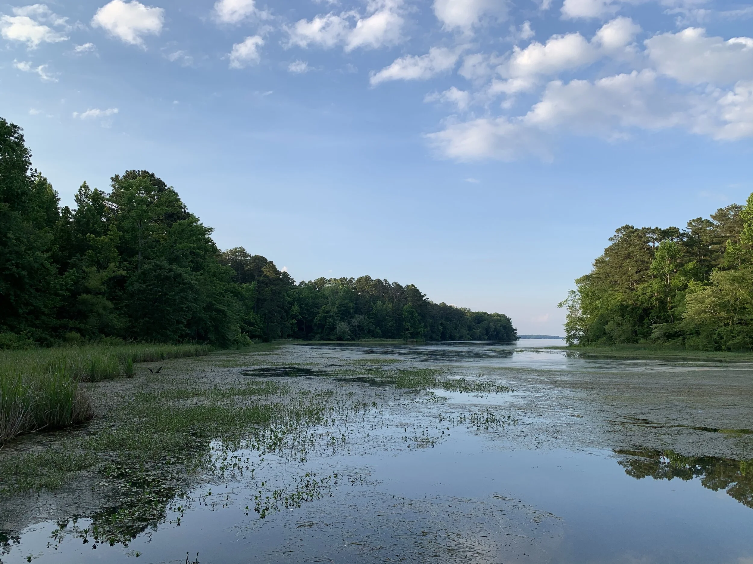 scottsboro.jpg