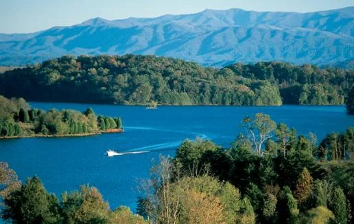 tellico.jpg