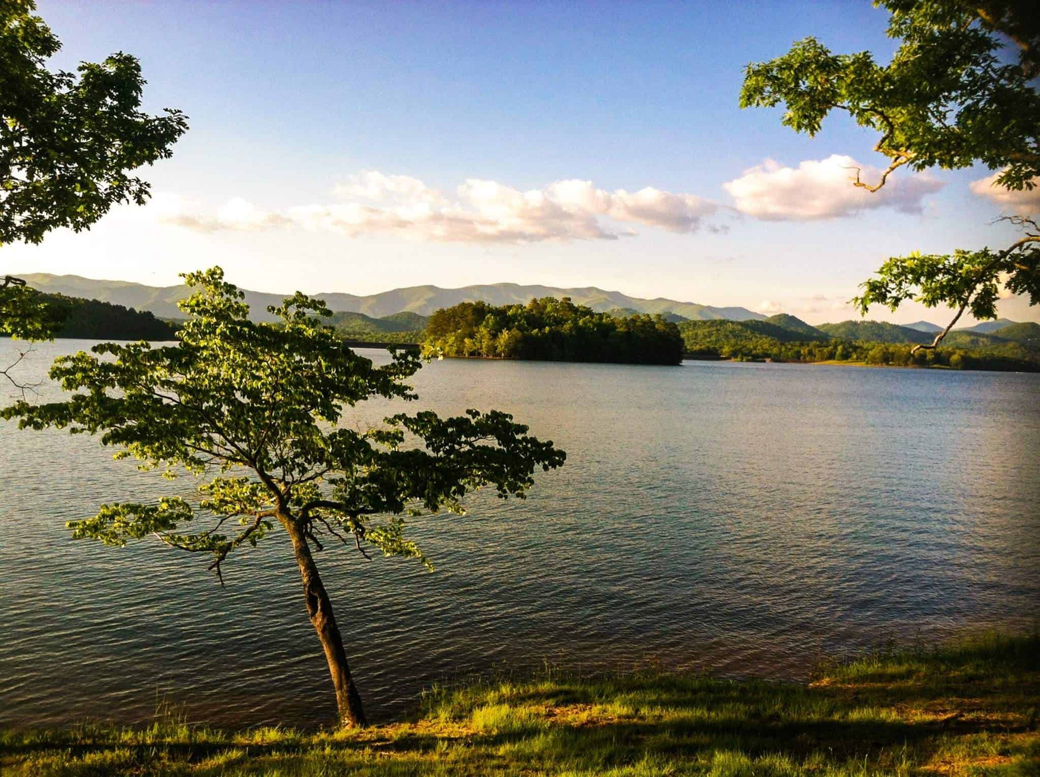 lake chatuge - island.jpeg