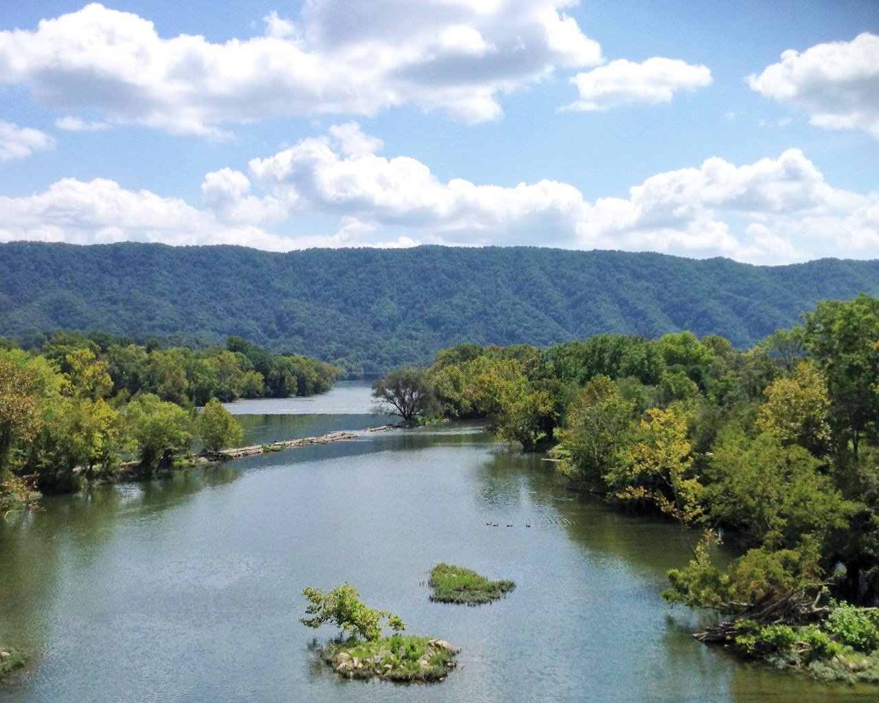 Holston River - Surgoinsville.jpeg
