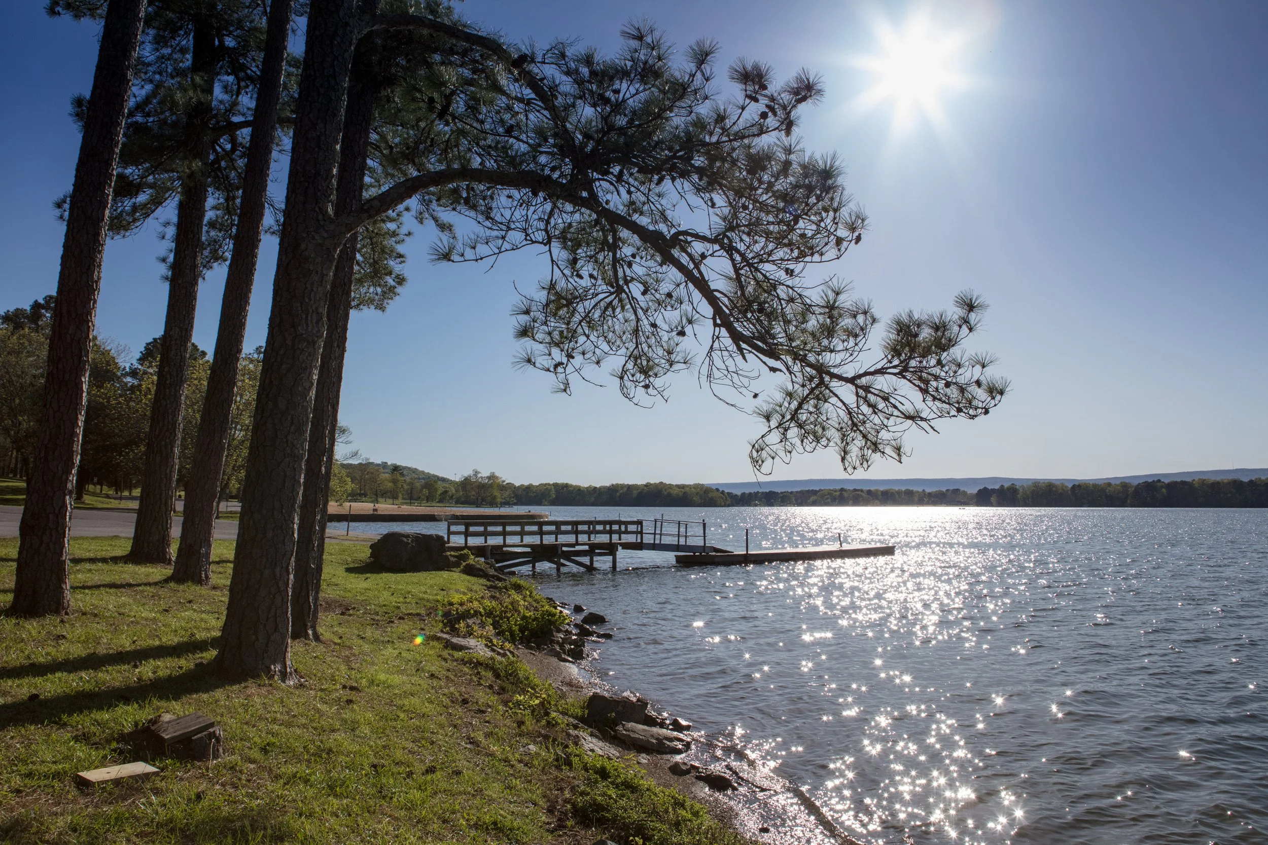 Chattanooga banner.jpeg