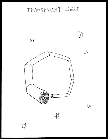 Untitled (Transparent Self) pen on paper 18x14" 1997