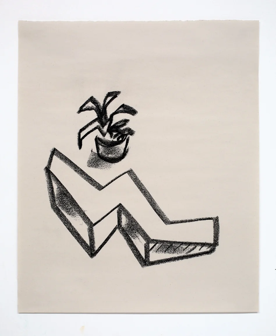 Untitled (Laconic Distillation) charcoal on paper 17x14" 2016
