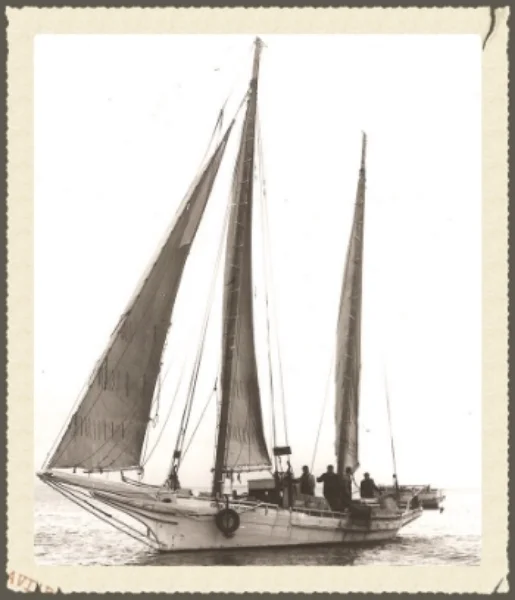Edna E. Lockwood dredging for oysters, c. 1950. Photograph by Don Edwards. Collection of the Chesapeake Bay Maritime Museum, St. Michaels, MD. Gift of Katherine Issa.