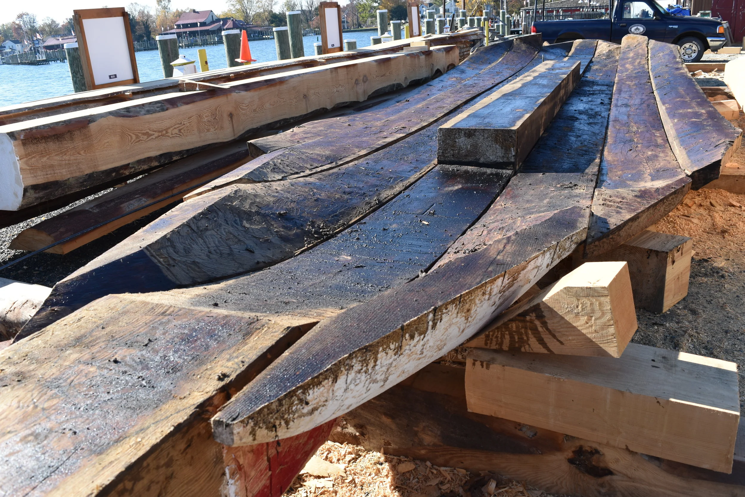 Nine logs identified for Edna E. Lockwood restoration