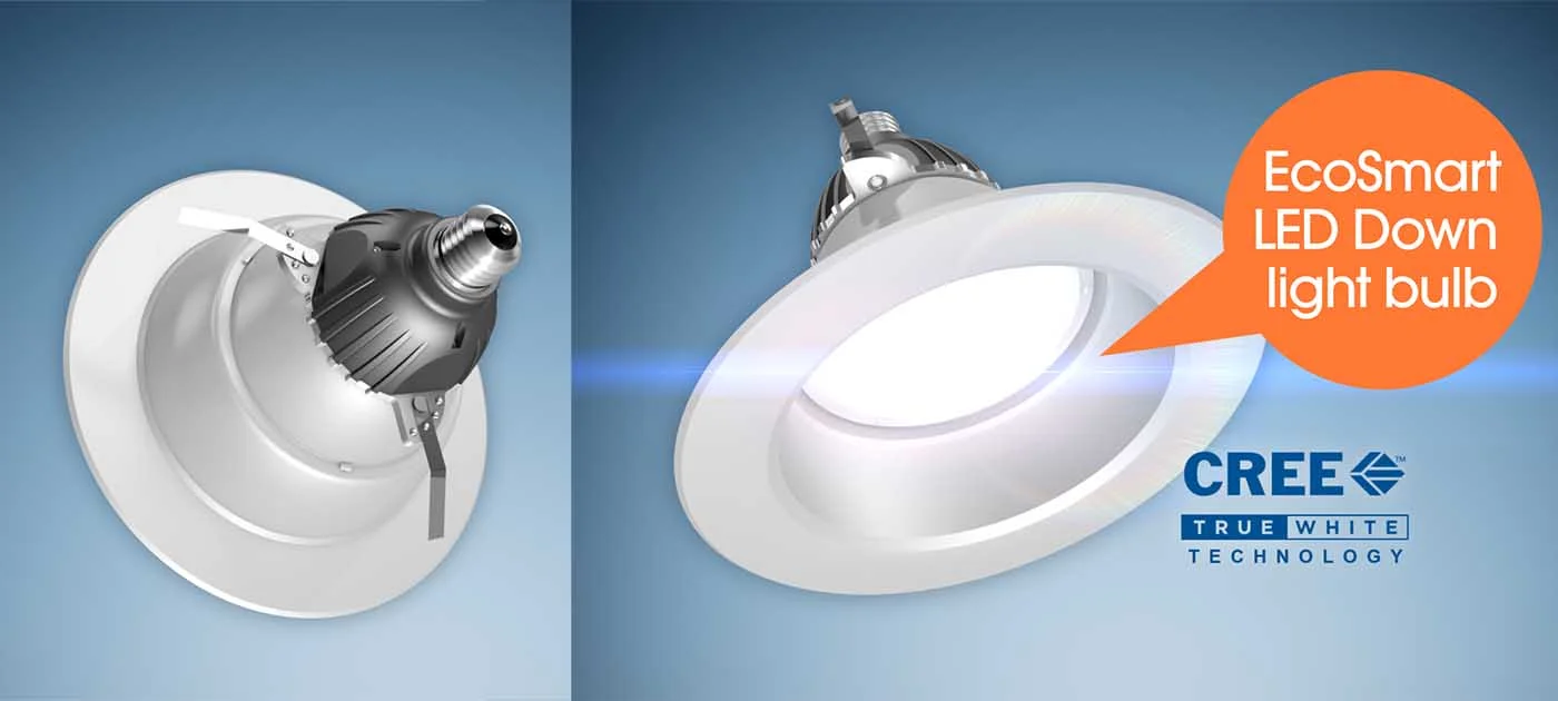ScienceCh_HomeDepot Light Bulbs.jpg