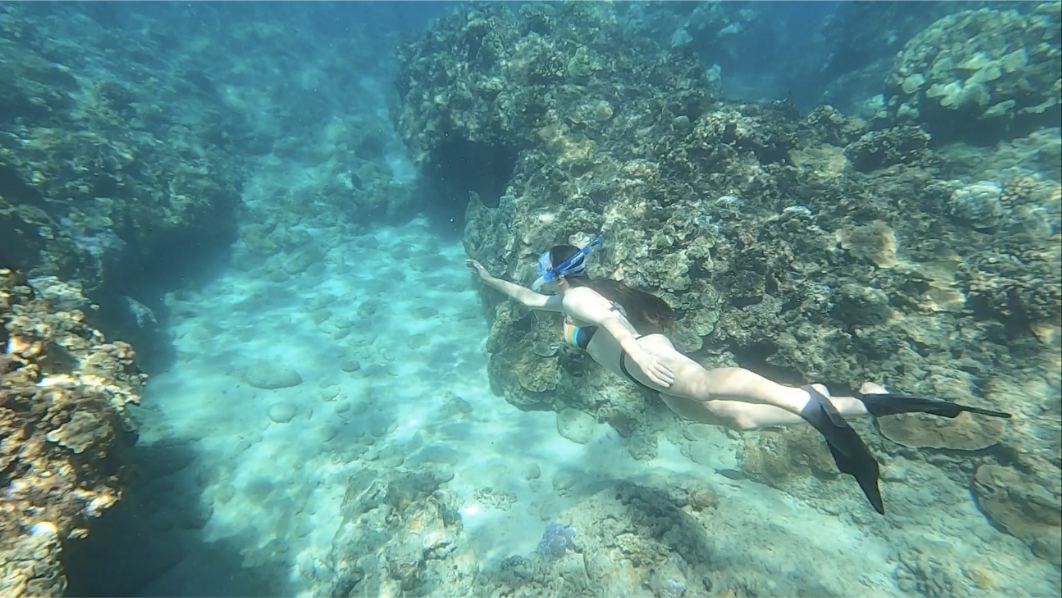 Screen Shot 2023-08-22 at 2.37.18 PM.png