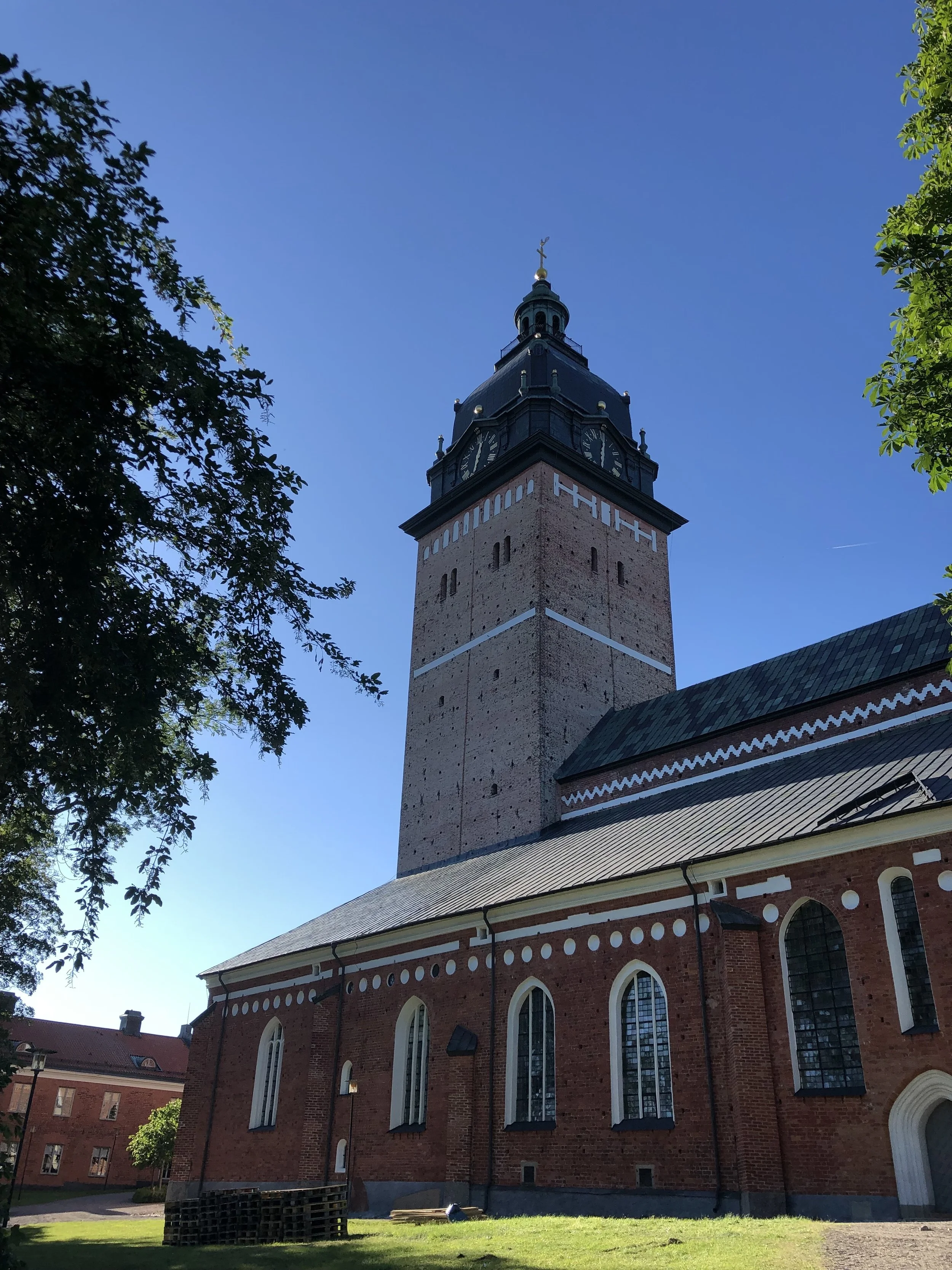 Första dagen på Rays 2019