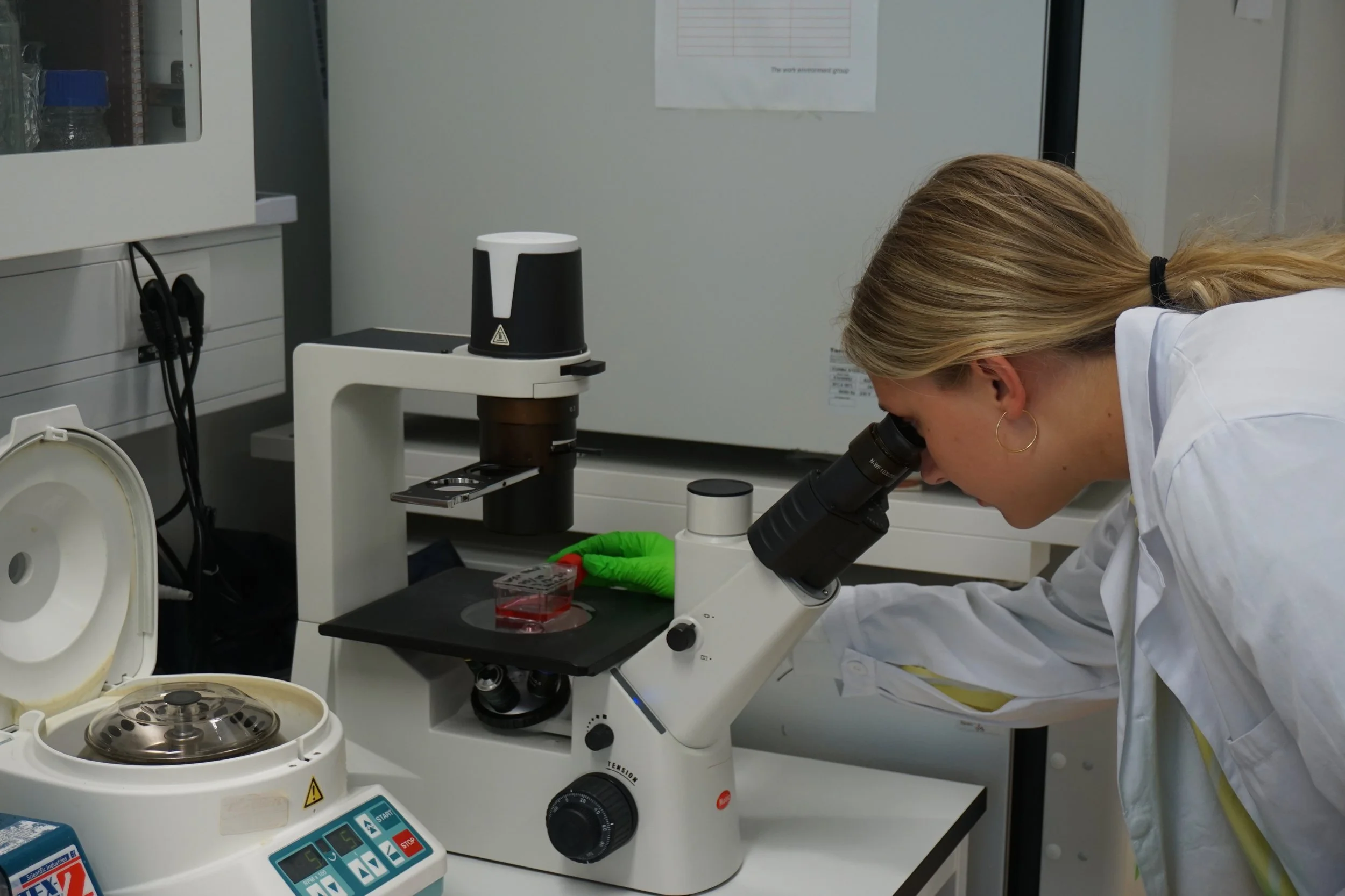 mark.bilder - 150.jpeg