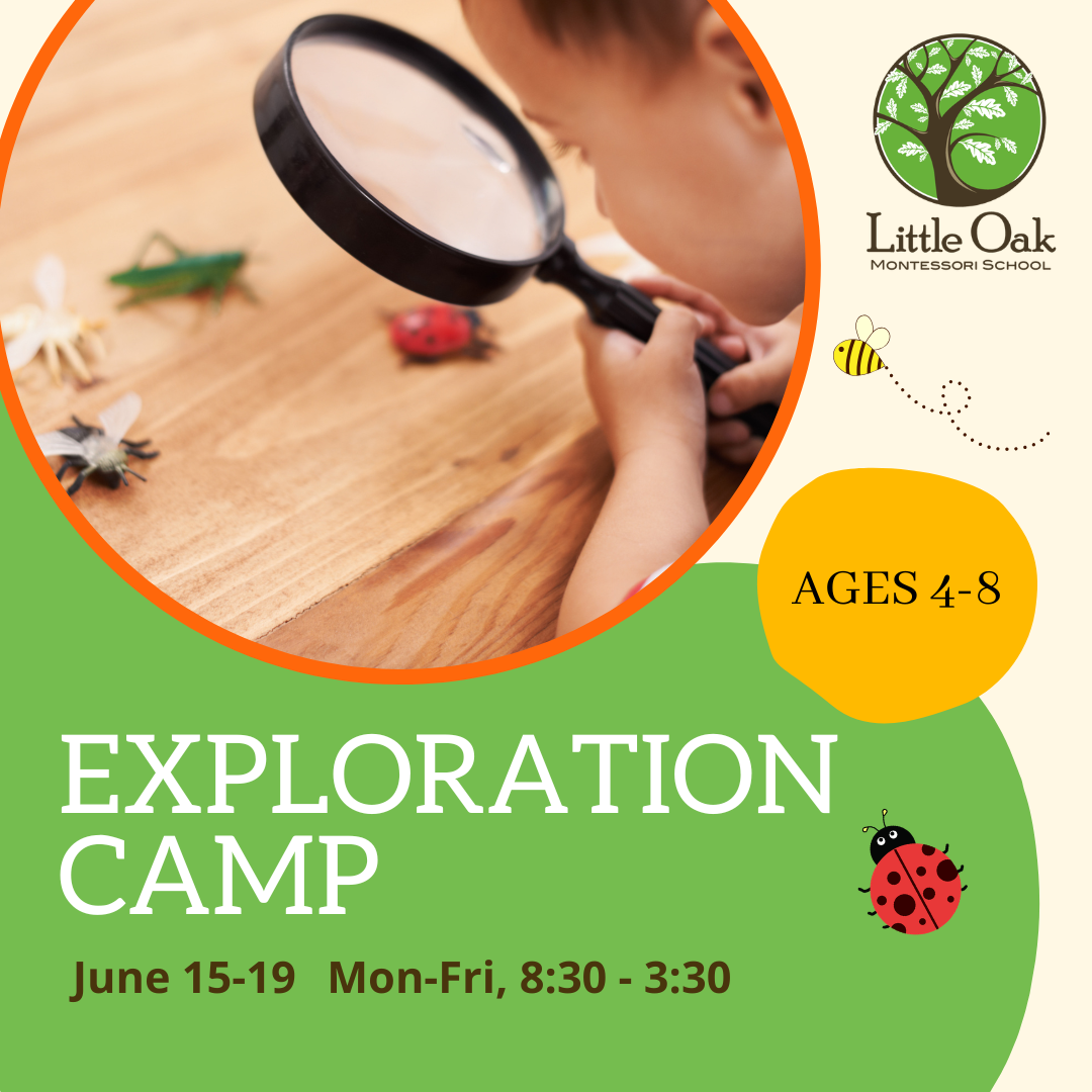 Exploration Camp