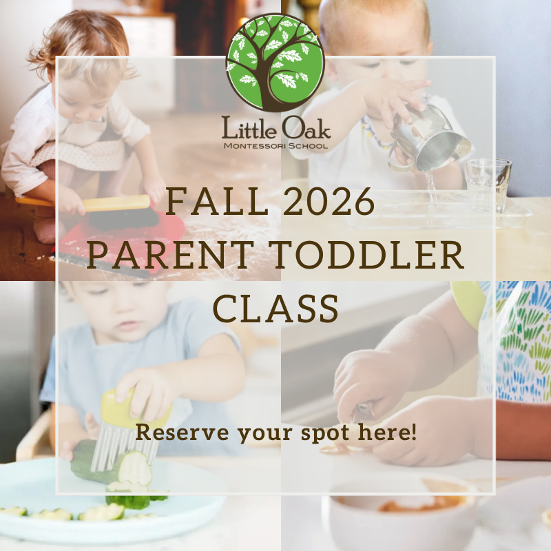 FALL 26 Parent Toddler webstore Graphic.png