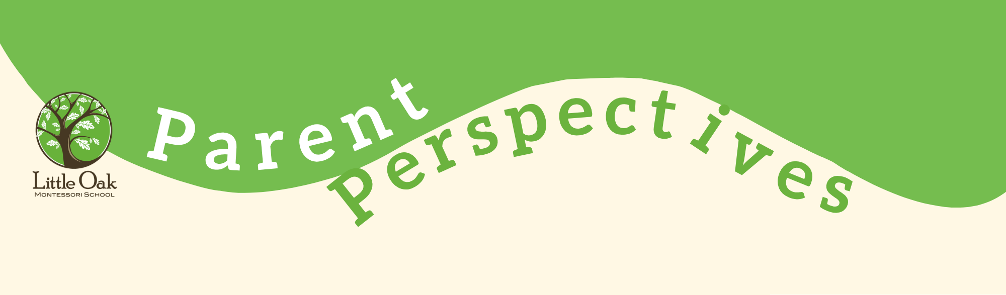 Parent Perspectives page banner.png