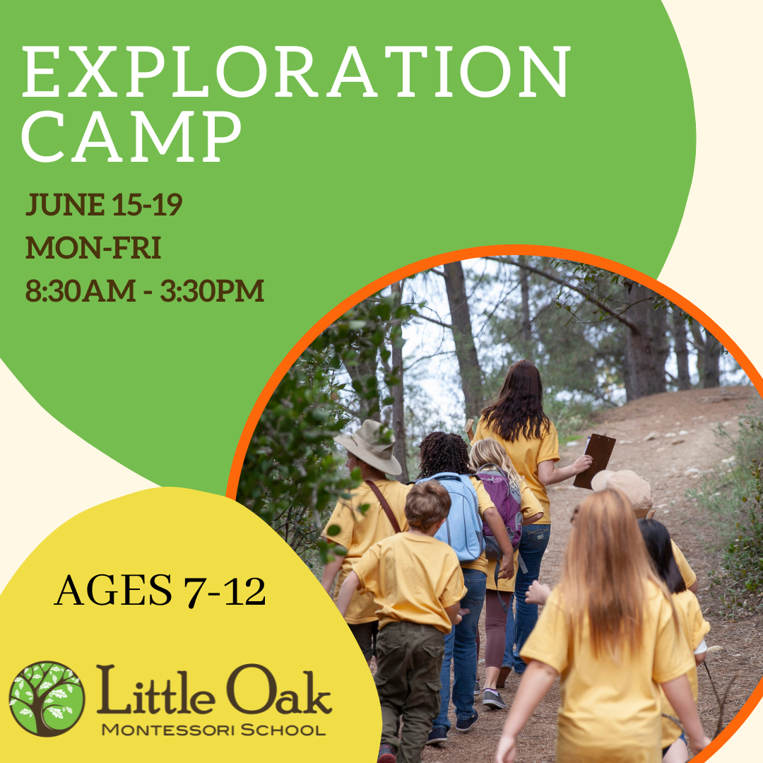 EL Exploration Camp.png