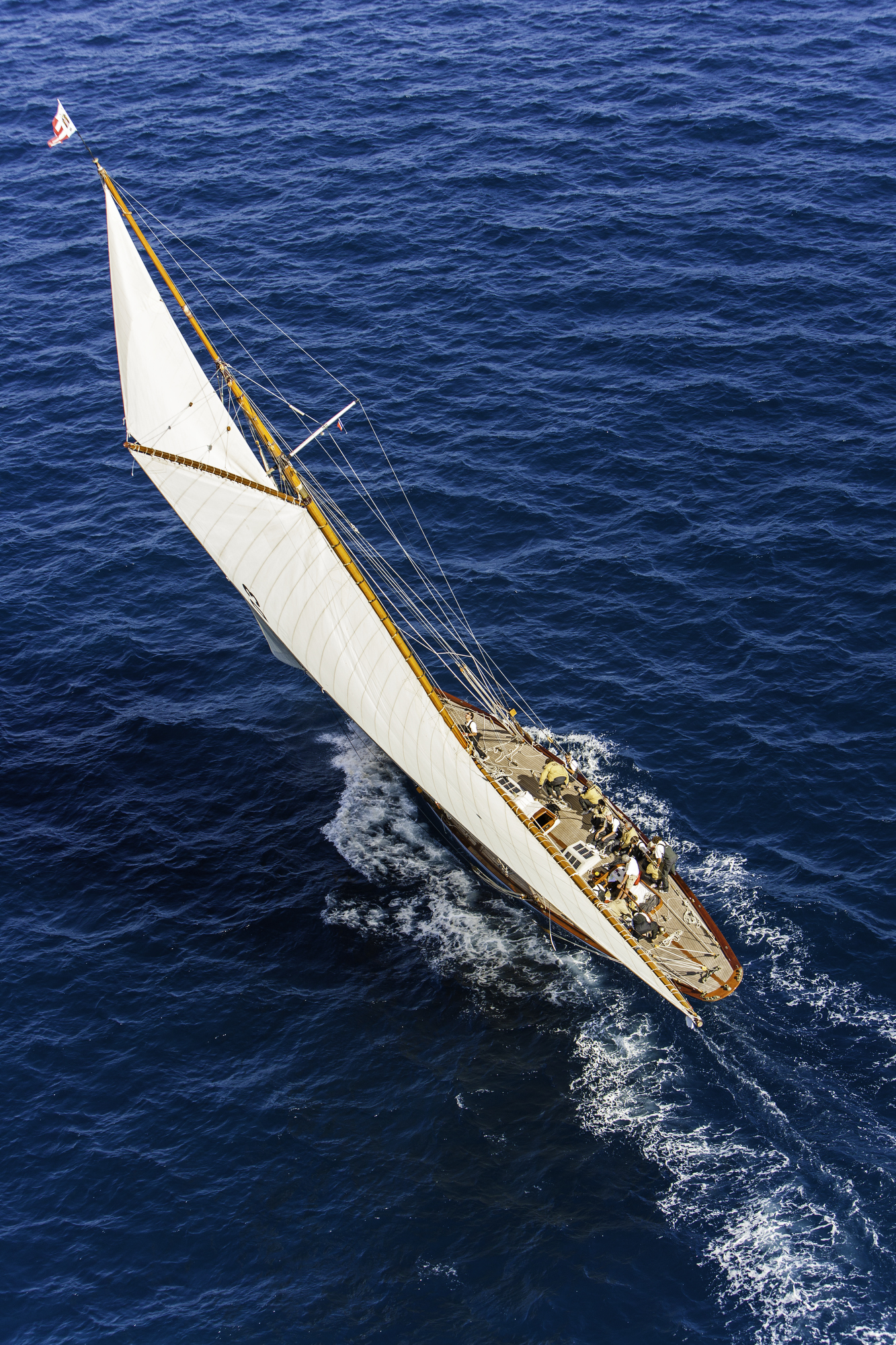 0832973_VOILESDESTTROPEZ.JPG