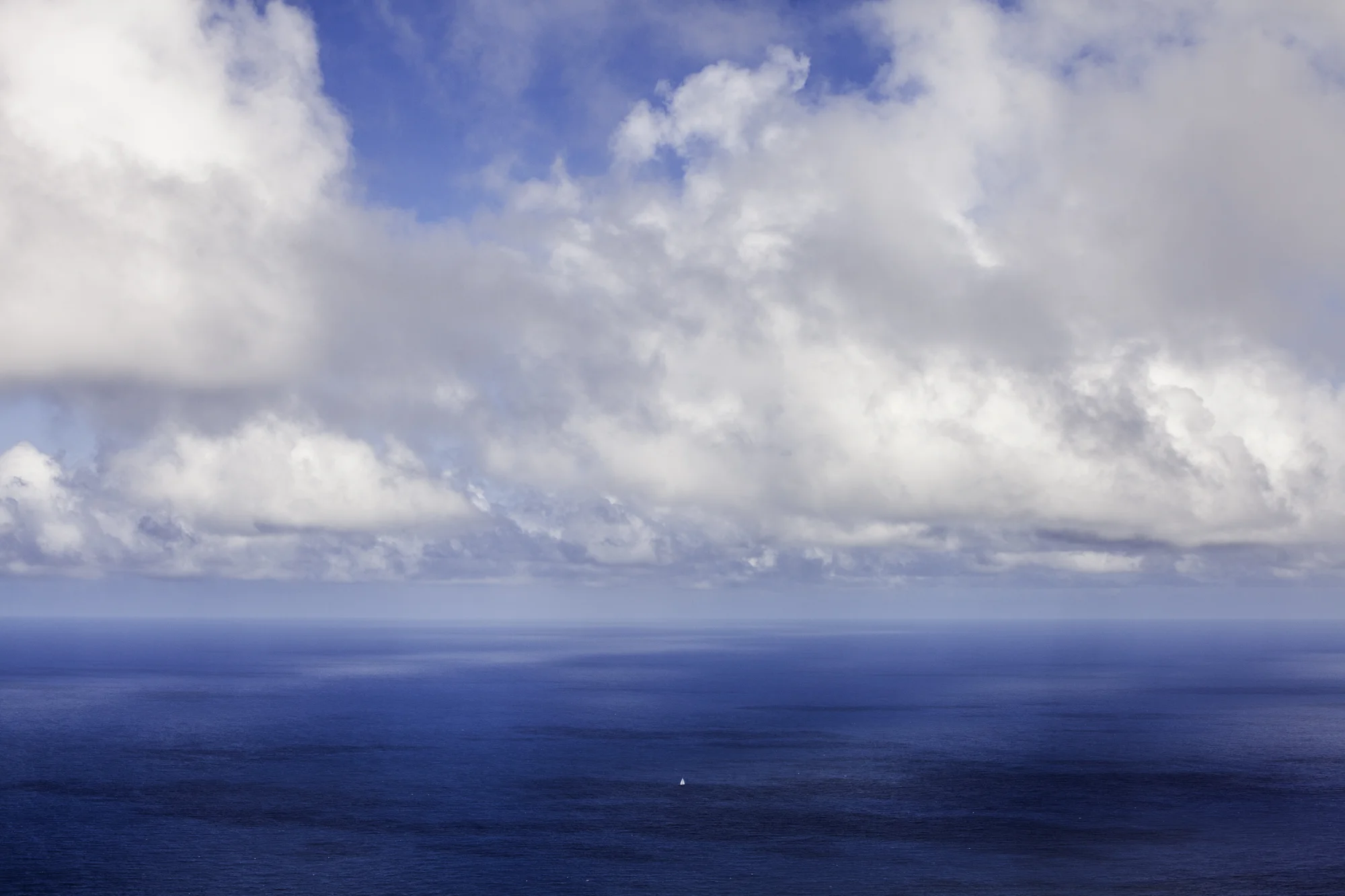 _MG_2394.jpg