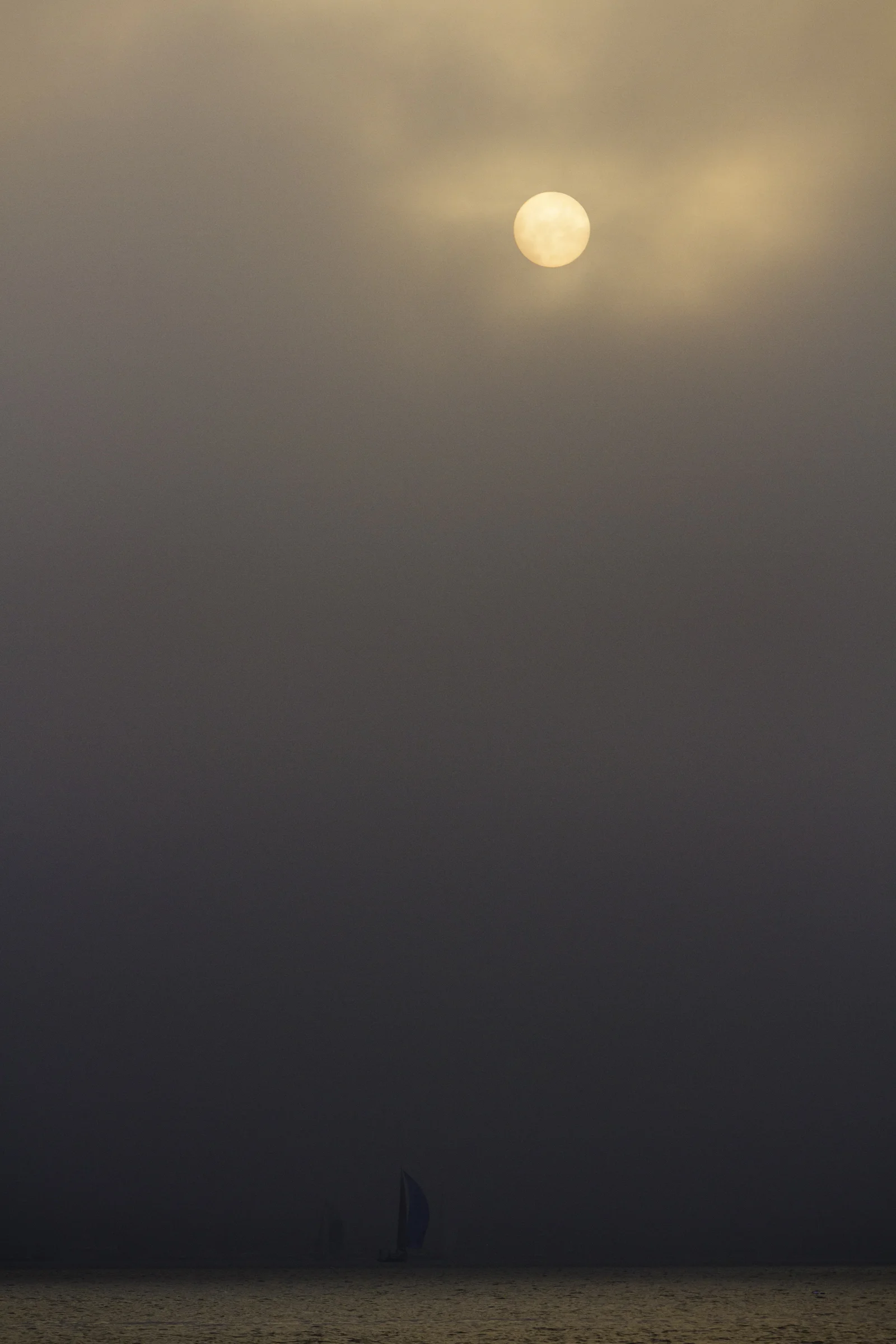 1138124_RITRA.jpg