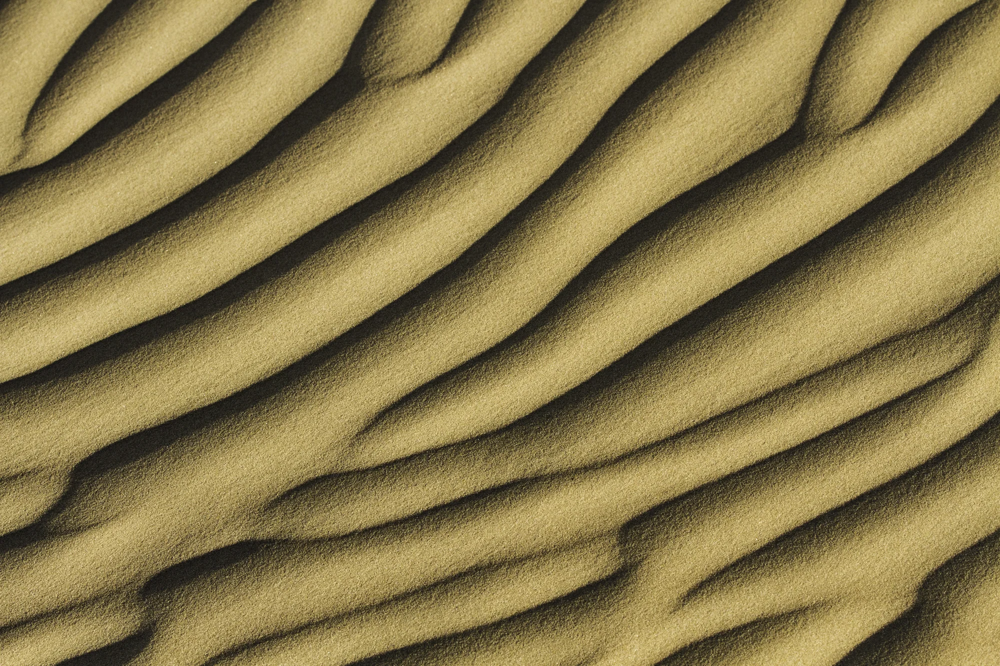 VOR090112_ROSS_0150.jpg