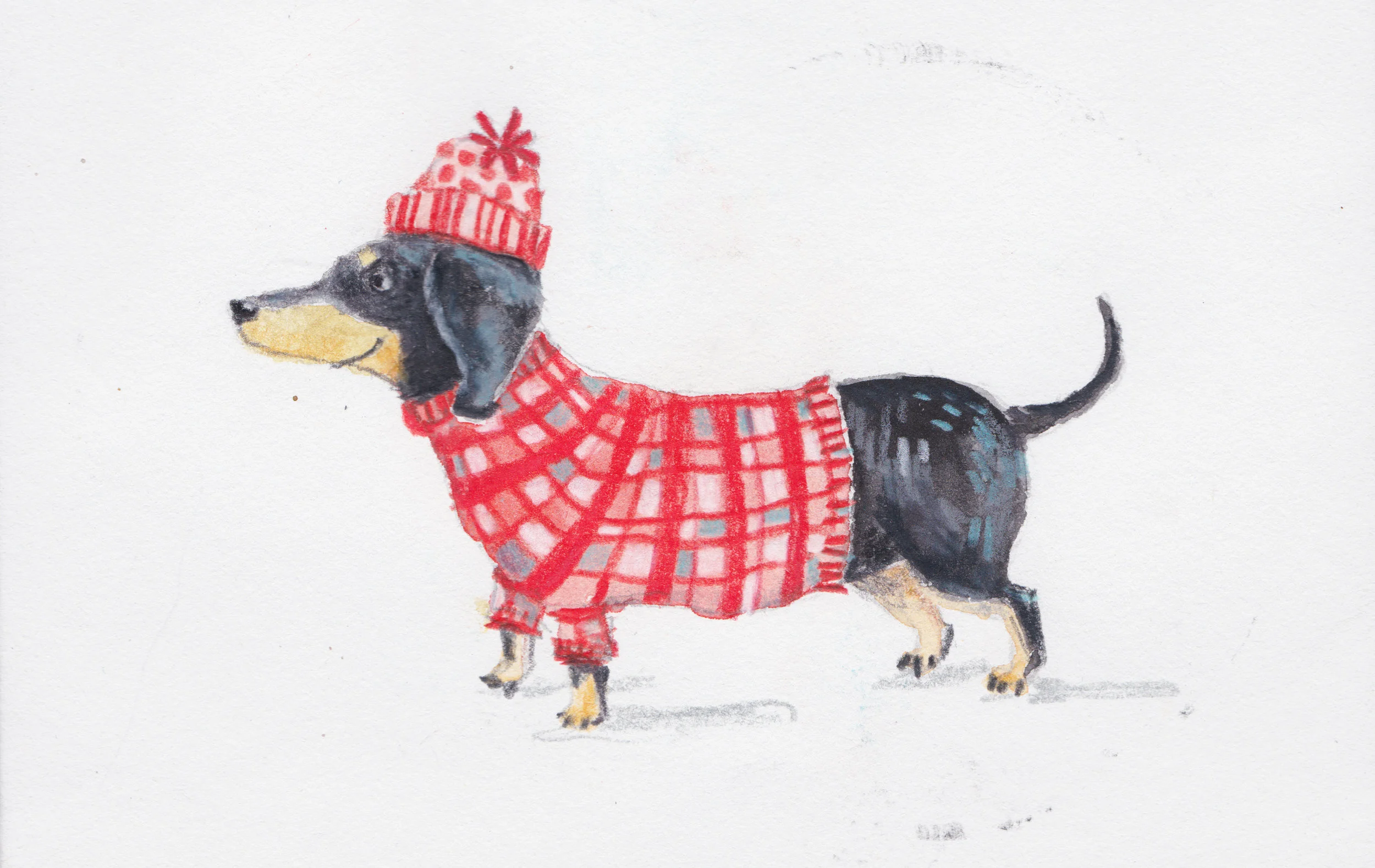 Winter Grommit