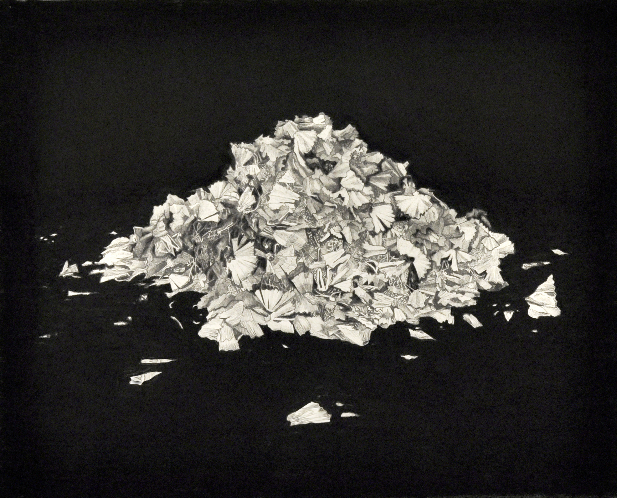   Experiments in flight, debris &nbsp;2014 graphite and charcoal on paper 21.0 x 30.0 cm 