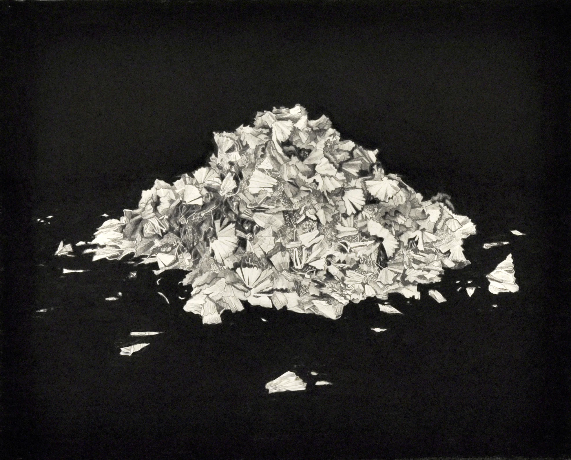 Experiments in flight, debris 2014 graphite and charcoal on paper 21.0 x 30.0 cm