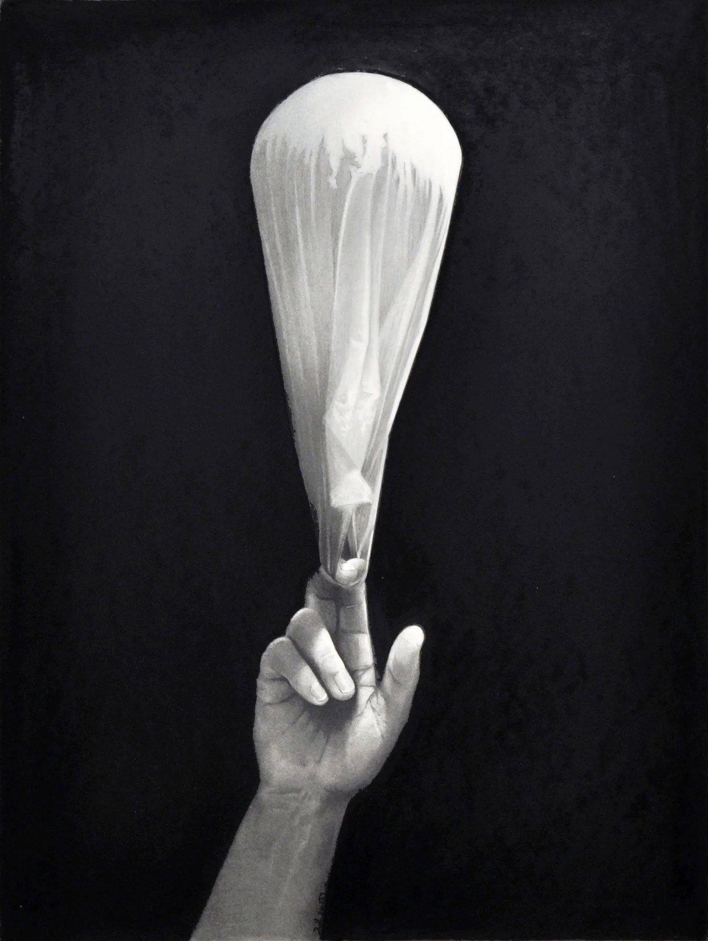 Experiments in flight 1 2014 graphite and charcoal on paper 56.0 x 42.0 cm