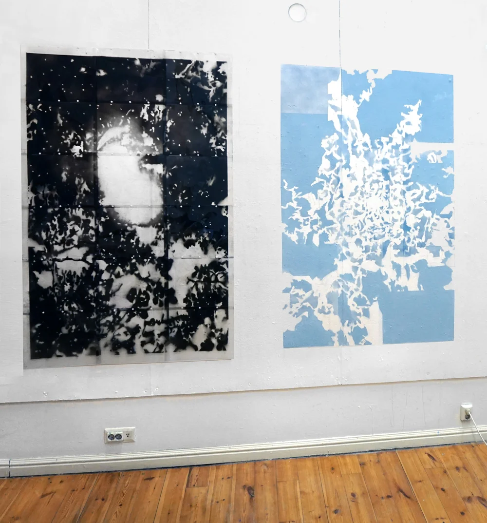 Studio install 2016