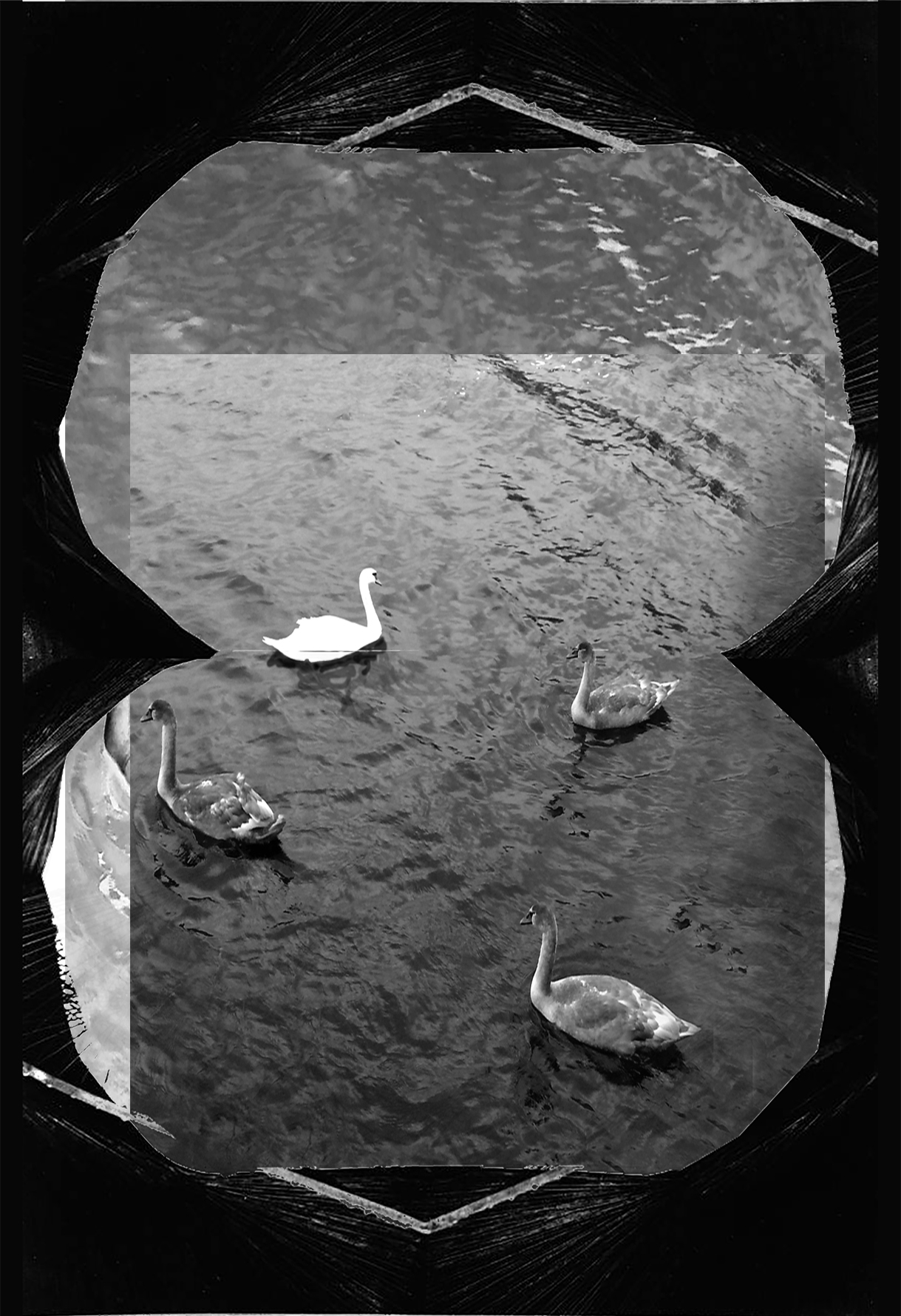 SWANS AND CAVE_1_63x43cm.jpg