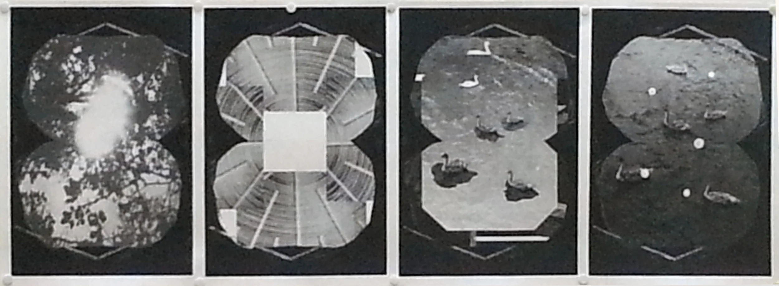 sequence of 4.jpg