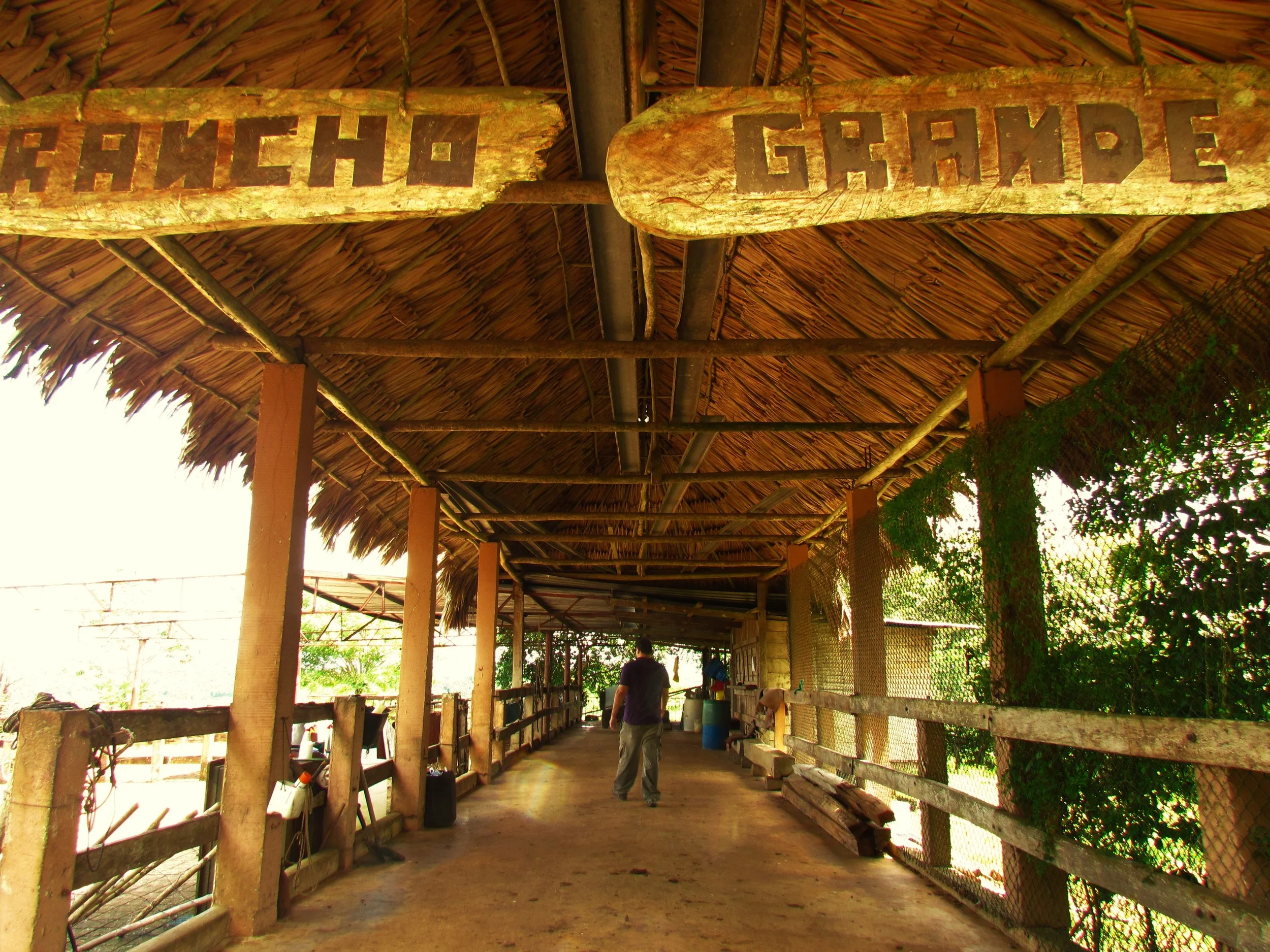  A successful dairy farm for more than 30 years, the  rancho  is home to the cows and horses. 