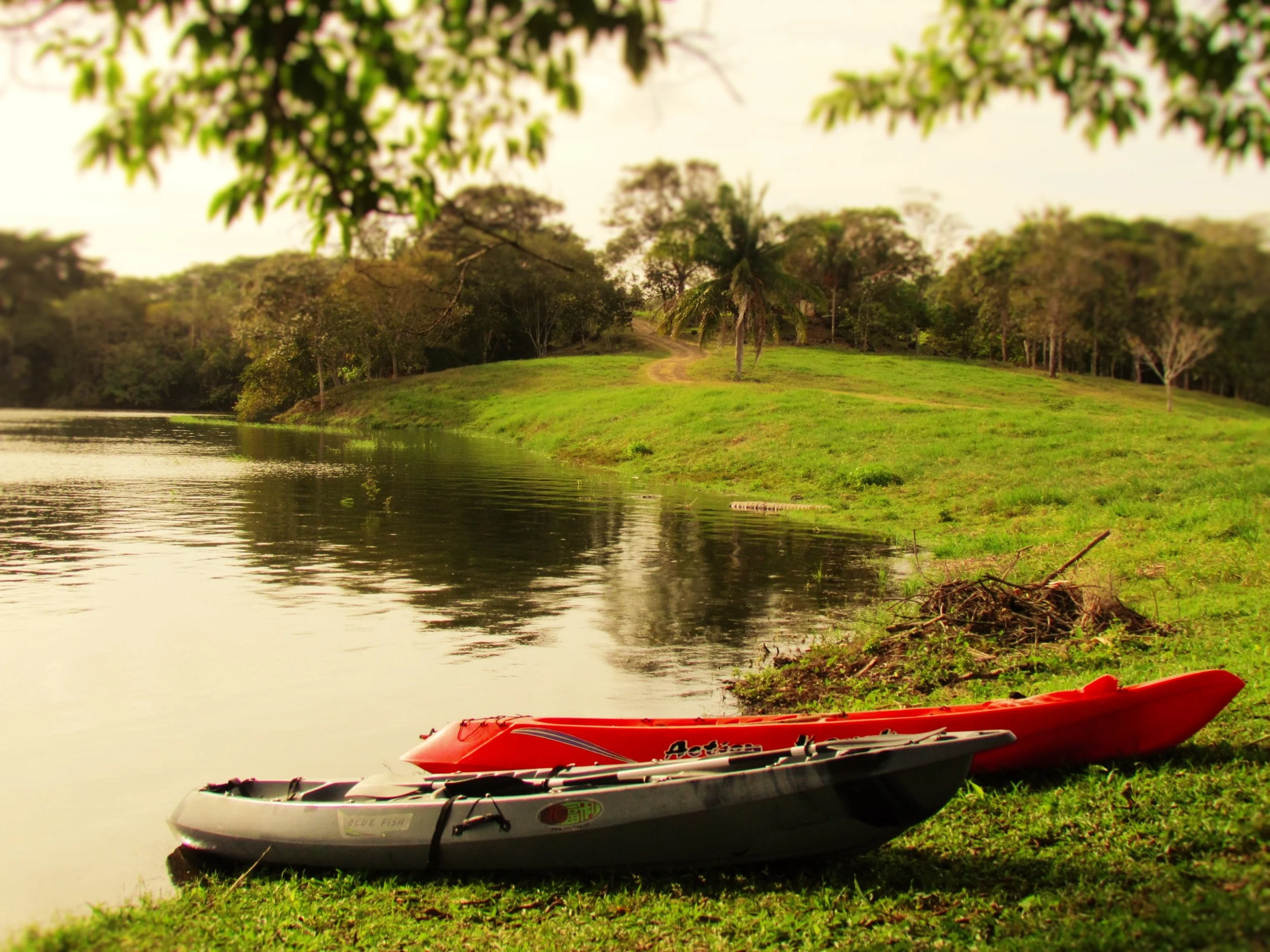  Choose your style, but always enjoy! 