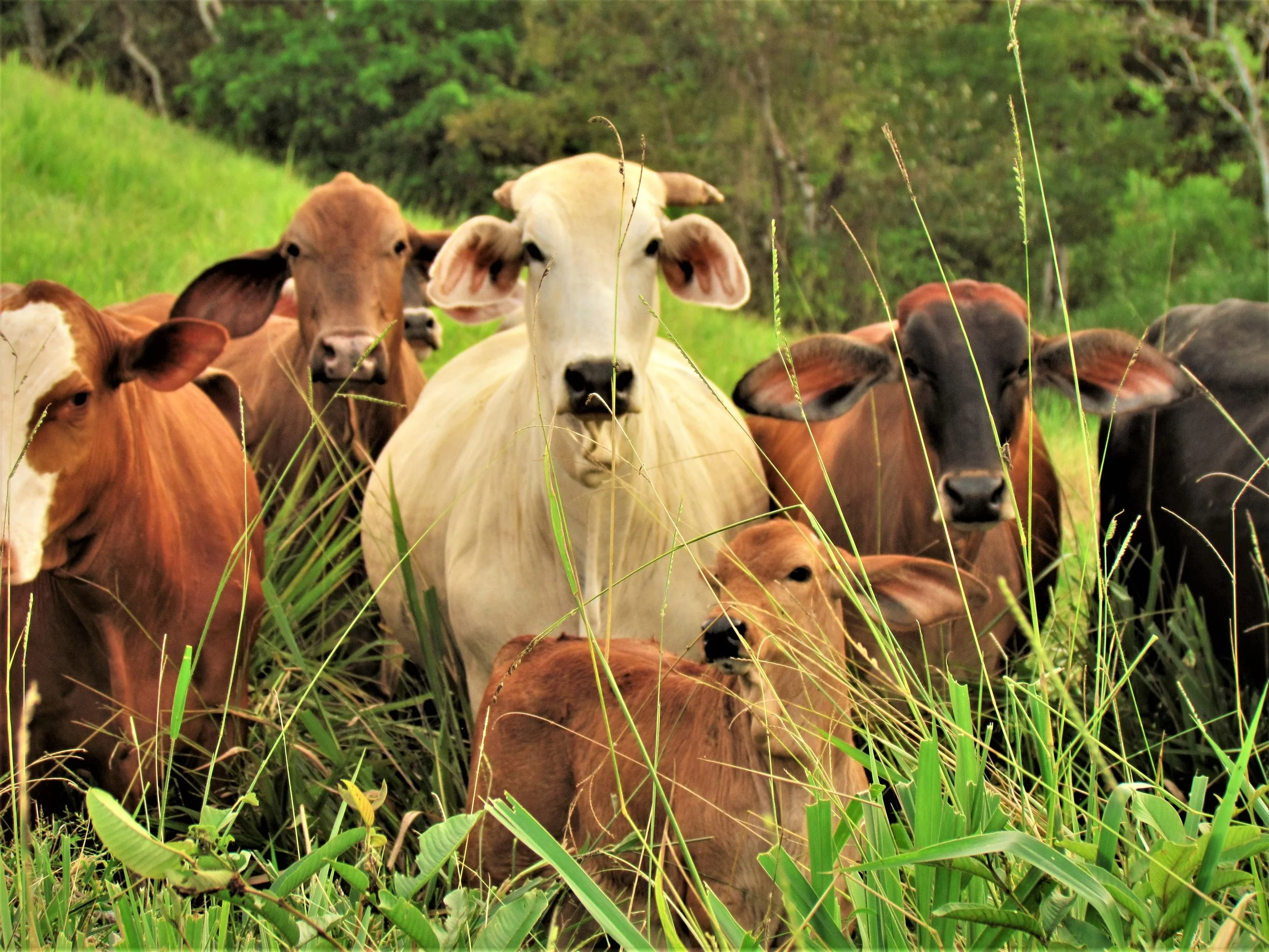 Some current residents.