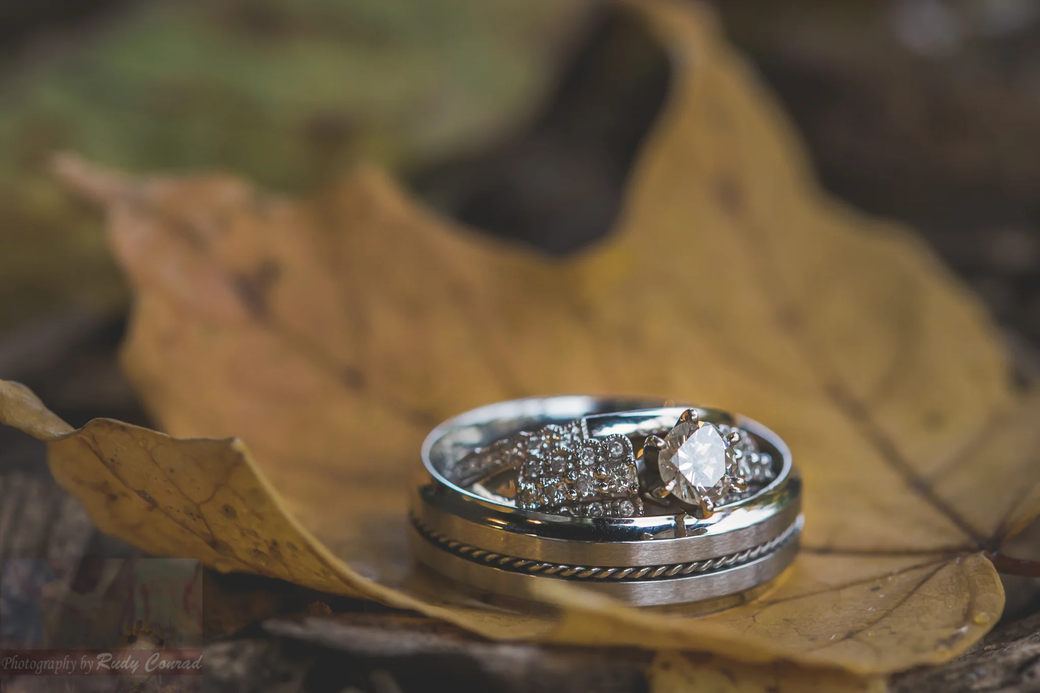 4D6A4871-Edit-3.jpg