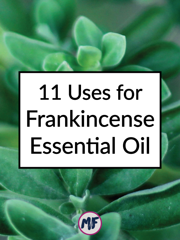 Frankincense is one of the most prized essential oils. It has been used since about 3000 BC. Click to learn about 11 uses for frankincense as well as some recipes to get you started!