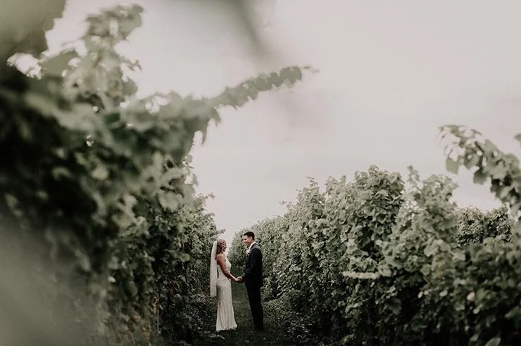 Photo Courtesy of Amanda nichols Photography