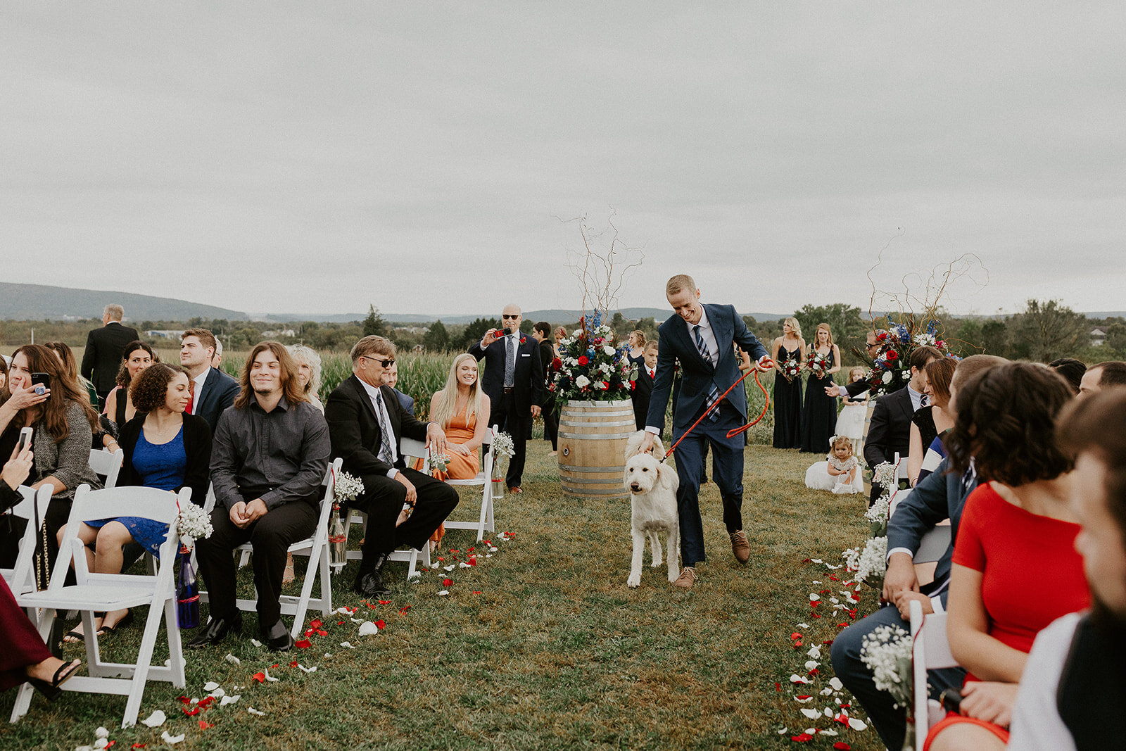 Amanda Nichols Photography