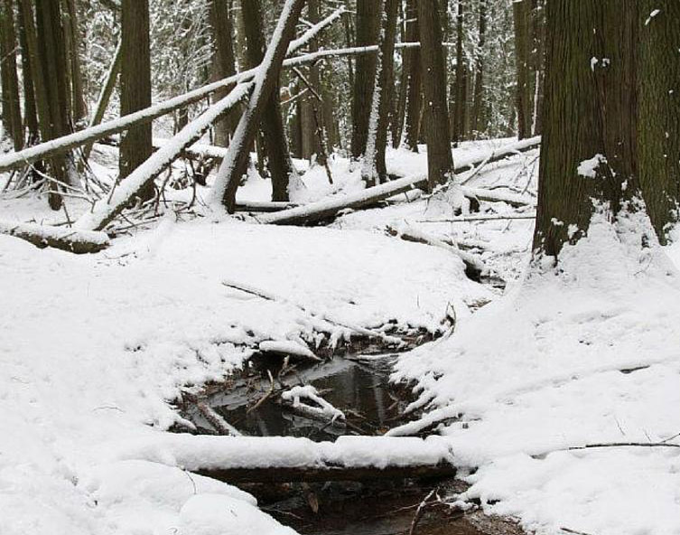 Please-use-caution-in-the-parking-lot-and-on-the-trails-this-season.jpg