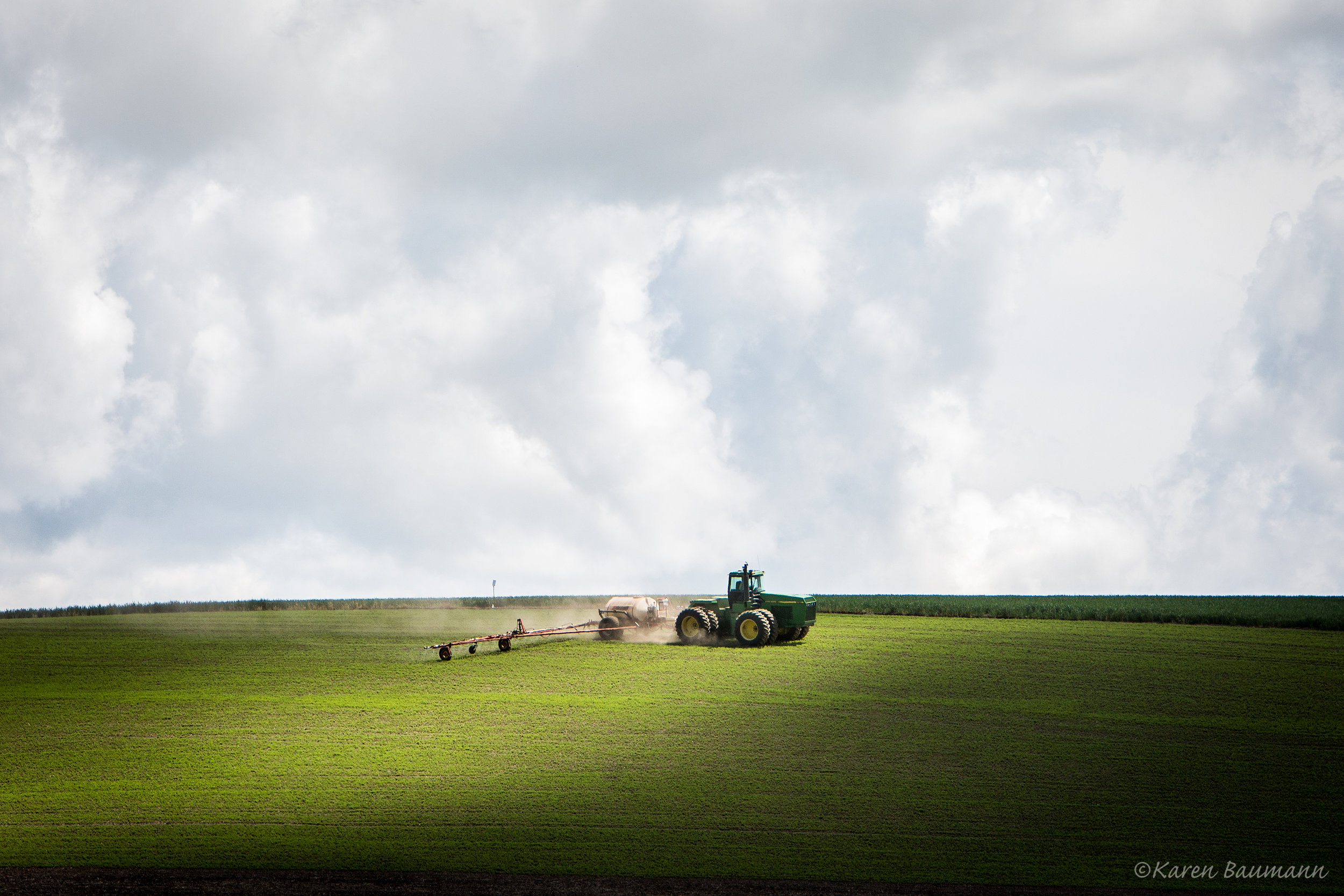 Farmer's Stage with Nature's Stage lights (c) Karen Baumann.jpg