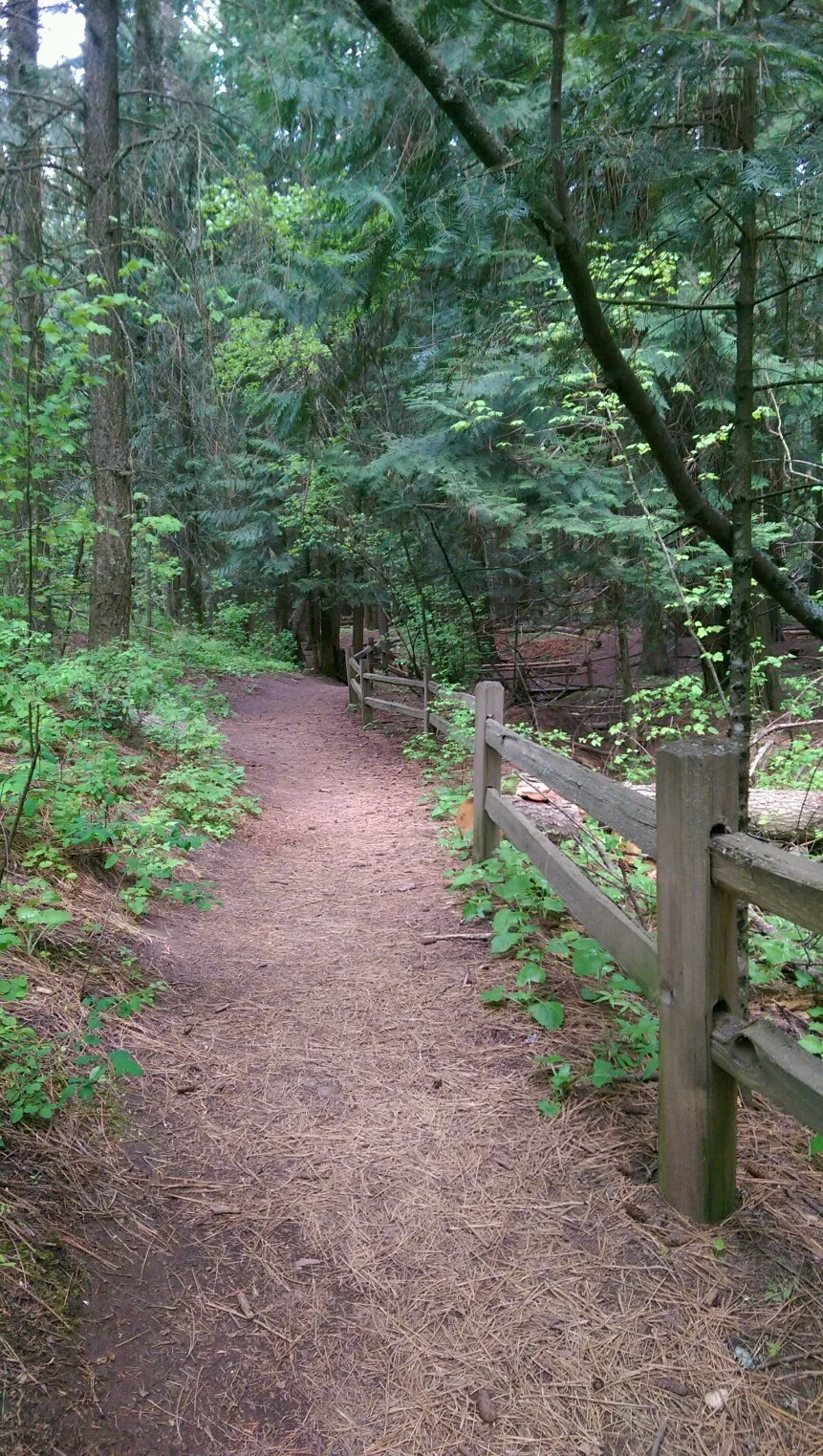 Summer Solstice Guided Hike