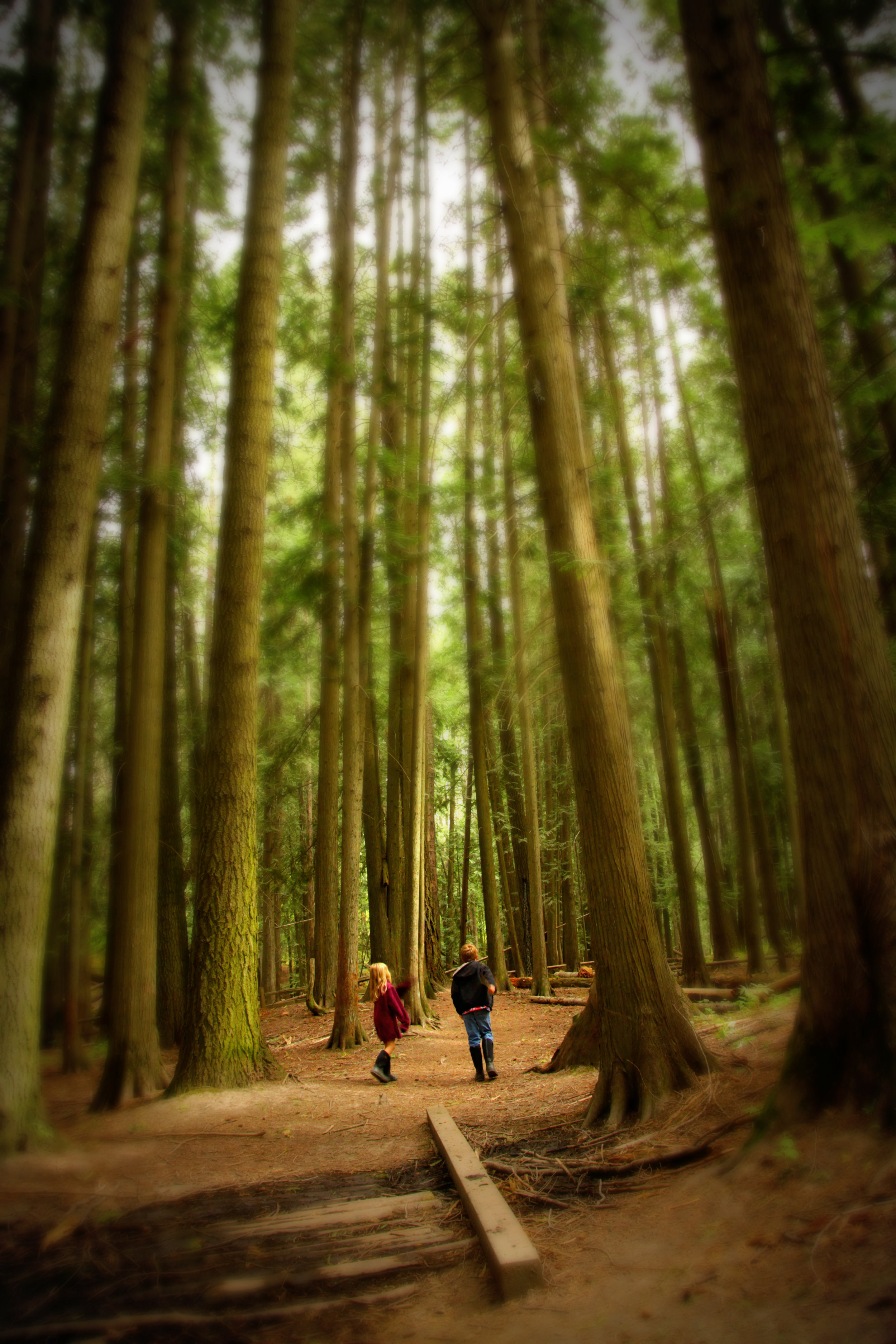 Isabel and Justin walking on trail 2.jpg