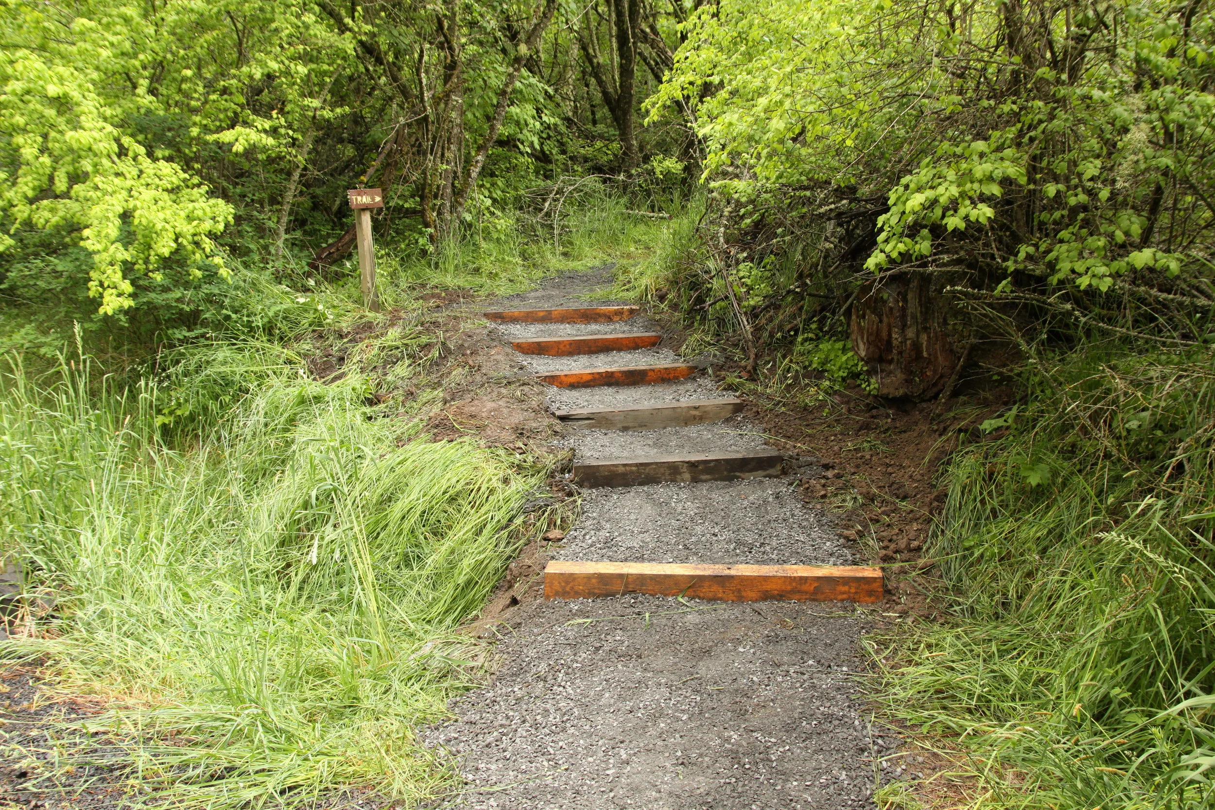 new stairs.jpg