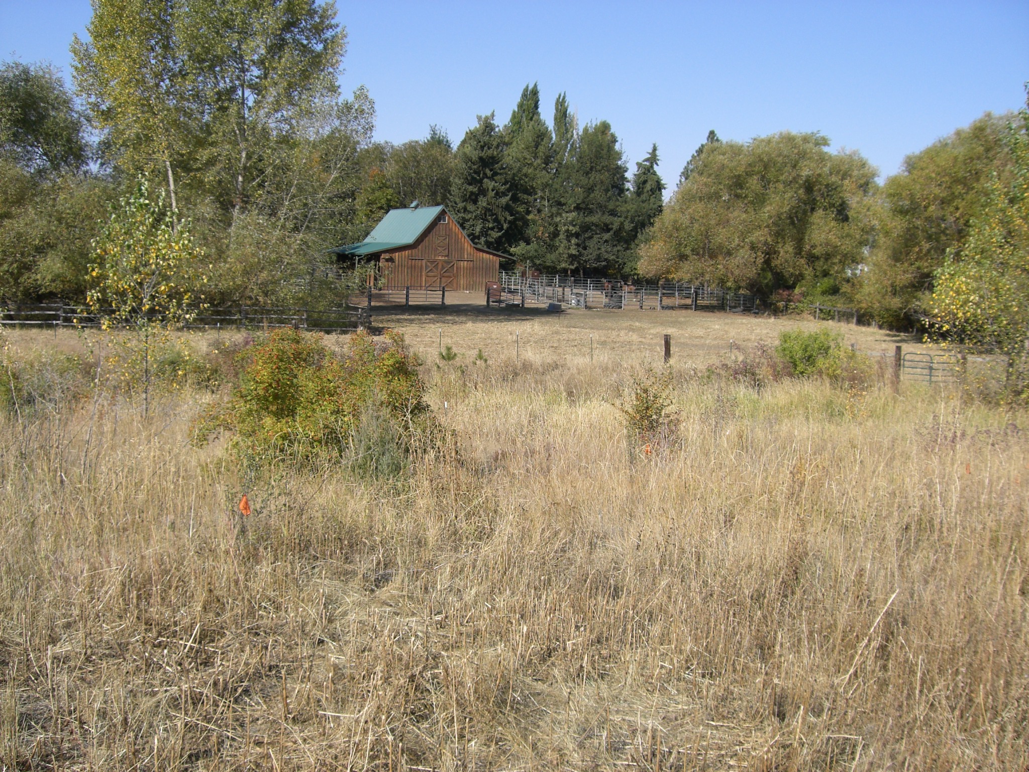 FosbergPLTMonit2006 006.jpg