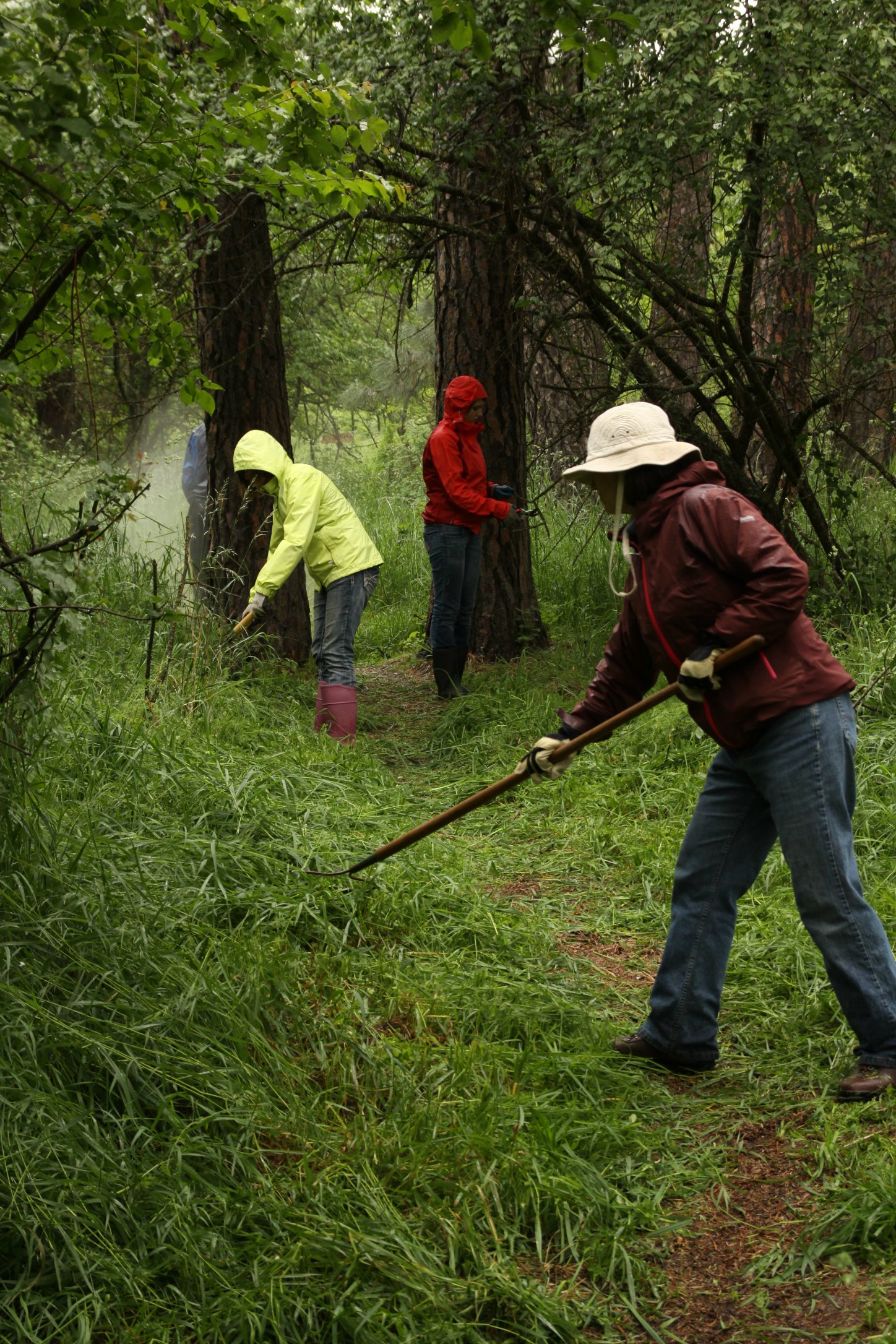 trailwork.jpg