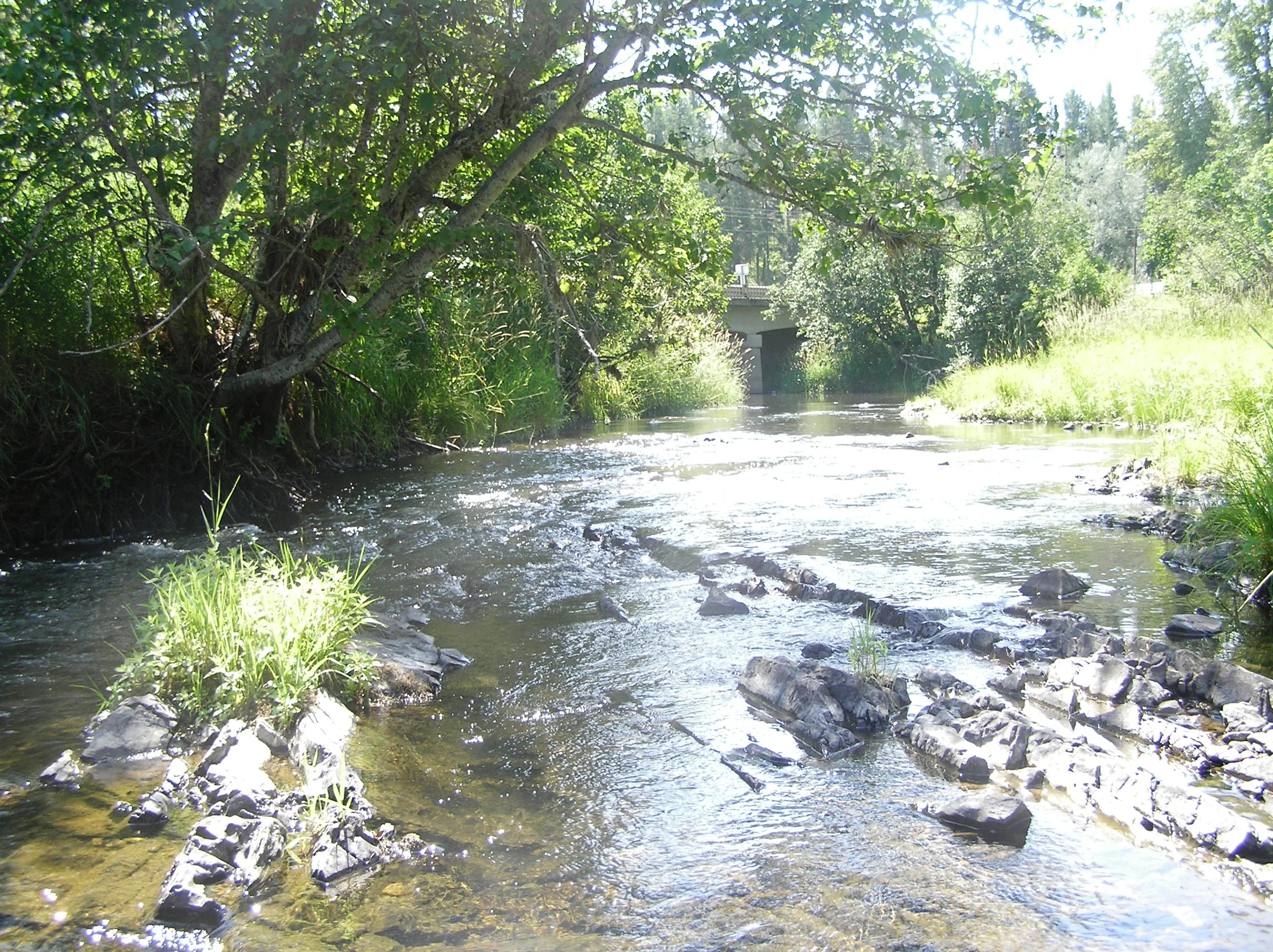 Palouse River.JPG