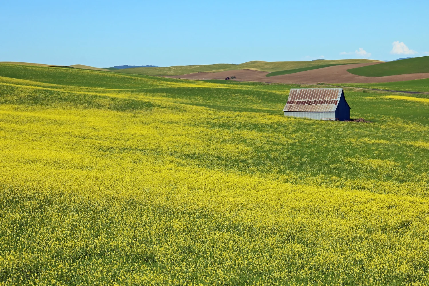 Donate Online Palouse Land Trust