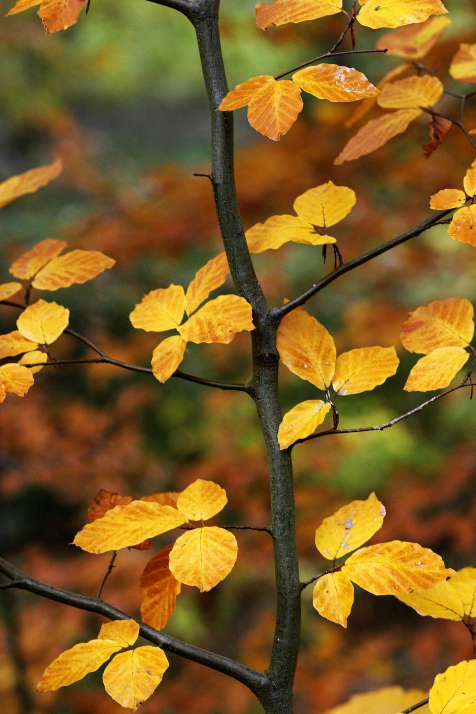 Fall Equinox Guided Hike