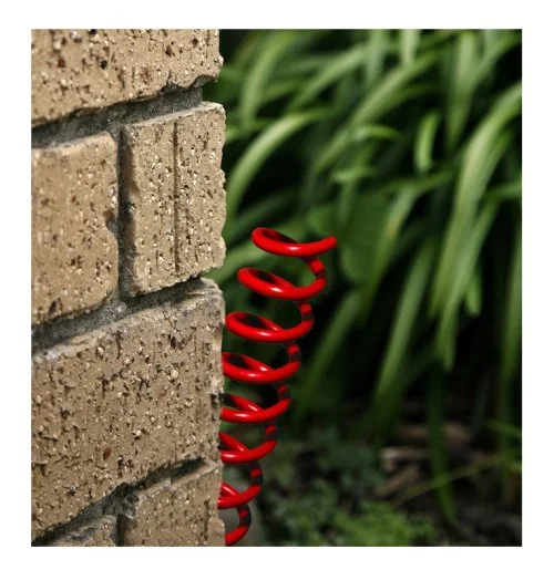 Ready to Spring! Equinox Hike